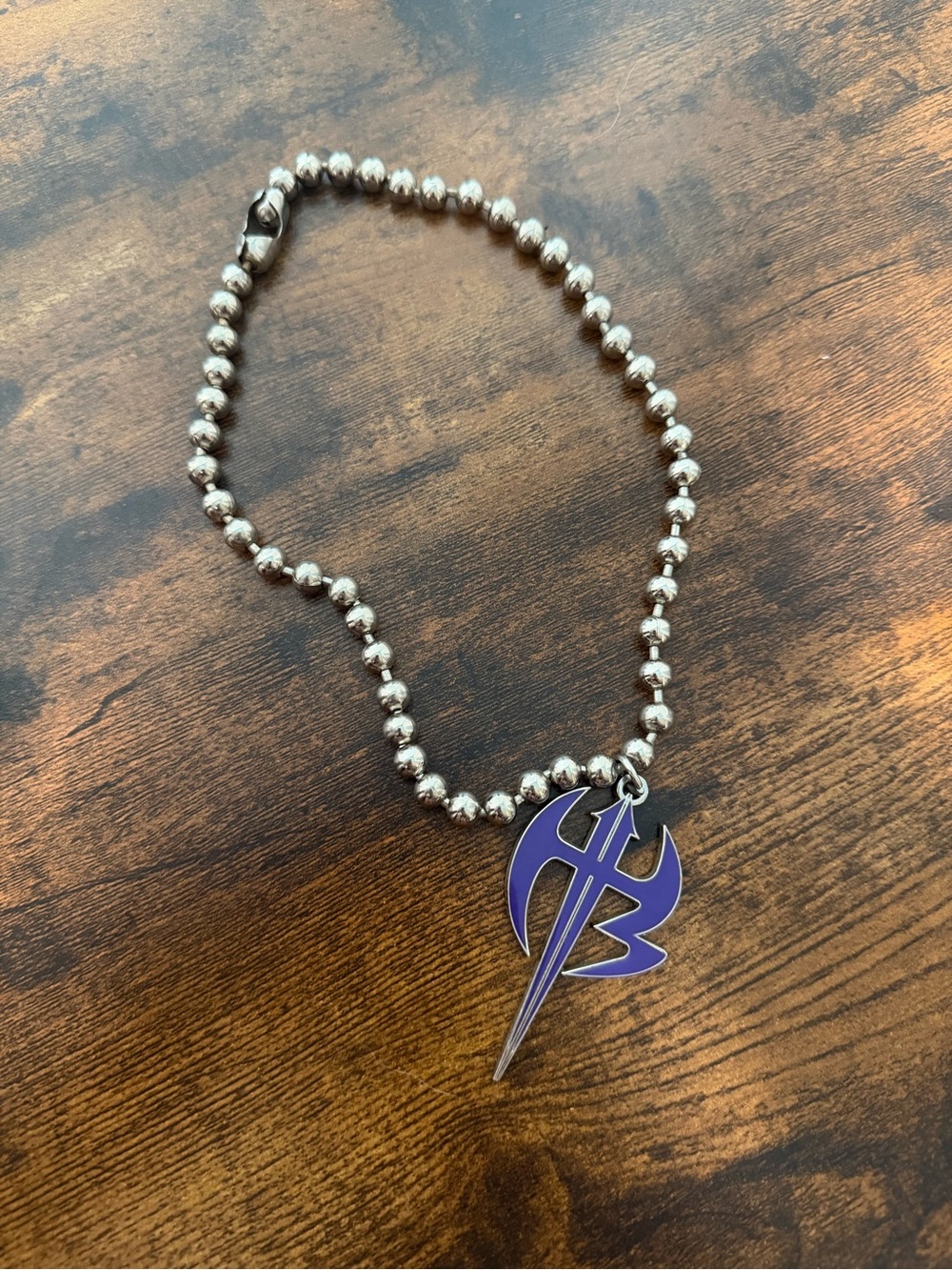 Vintage 2007 Hardy Boyz WWE Wrestling Chain Necklace Matt & Jeff